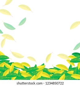 
Vector green leaves yellow background