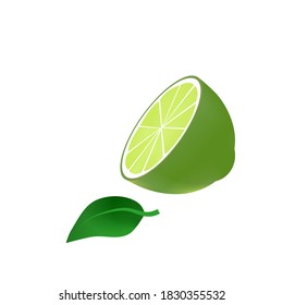 Vector green lemon half slice and green leaves drawing on white