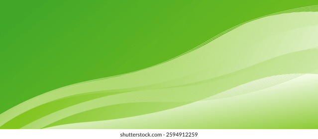 Vector green line background curve element with white space for text and message design, eps 10, vector 10 eps, abstract design