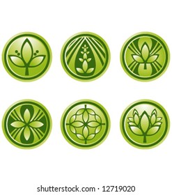Vector green logo icon graphic symbols