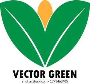Vector green logo icon or symbol