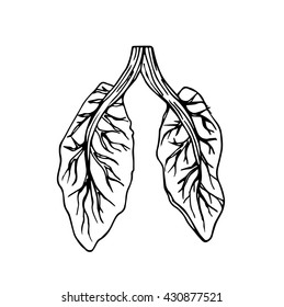 Vector of green lung for Stop smoking Concept