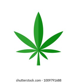 Vector green marijuana and shadow light, Seven leafs, Cannabis sativa forma indica, Cannabidaceae