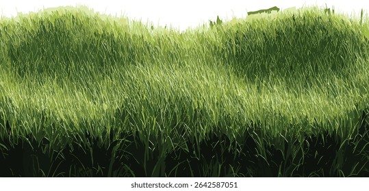Vector green meadow grass horizontal row backgrounds, cut grass field, nature landscape, green grass row, summer background, nature design, grassland illustration, meadow greenery