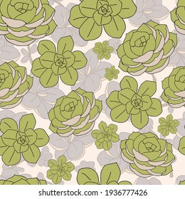 Vector green mint cactus with backdrop seamless pattern background print