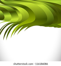Vector green modern elegant card template