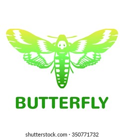 Vector green mole color butterfly icon illustration