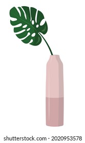 hoja vectorial verde de monstera en un jarrón rosa aislado en un fondo blanco.  Monstera en un estilo plano. Flores caseras al estilo escandinavo. 