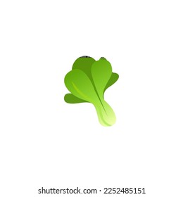 Vector green mustard leaves that can be used for various purposes of your illustration