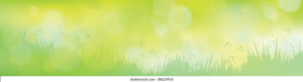 Vector green  nature background.