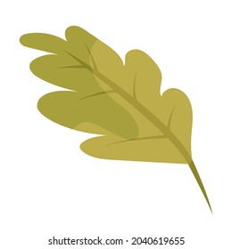 Vector green oak leaf. Autumn foliage. Oak leaf isolated on white background