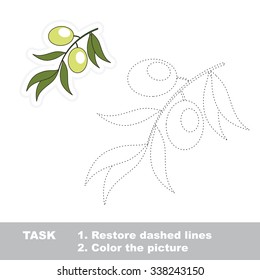 Vector Green olive to be traced. Restore dashed line and color the picture.