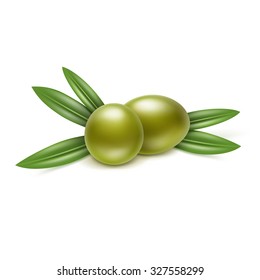 Vector Green Olives Branch with Leaves Isolated on White Background
