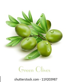 Vector green olives isolated on a white background