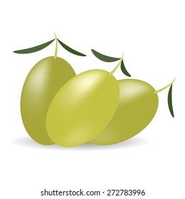 Vector Green Olives with Leaves Isolated on White BAckground.
