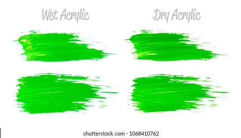 Vector green paint smear stroke stain set. Abstract acrylic textured art illustration. Acrylic Texture Paint Stain Illustration. Hand drawn brush strokes vector elements. Spring and summer colors.