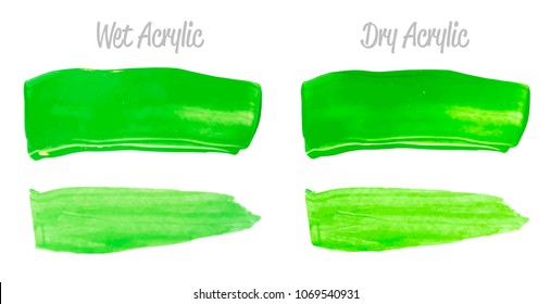 Vector green paint smear stroke stain set. Abstract acrylic textured art illustration. Acrylic Texture Paint Stain Illustration. Hand drawn brush strokes vector elements. Spring and summer colors.
