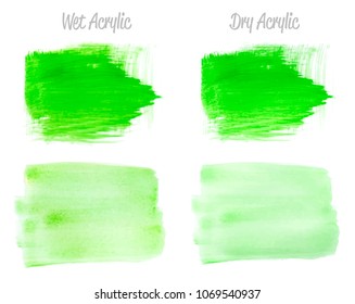 Vector green paint smear stroke stain set. Abstract acrylic textured art illustration. Acrylic Texture Paint Stain Illustration. Hand drawn brush strokes vector elements. Spring and summer colors.