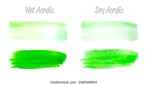 Vector green paint smear stroke stain set. Abstract acrylic textured art illustration. Acrylic Texture Paint Stain Illustration. Hand drawn brush strokes vector elements. Spring and summer colors.