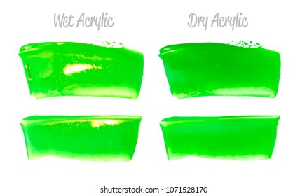 Vector green paint smear stroke stain set. Abstract acrylic textured art illustration. Acrylic Texture Paint Stain Illustration. Hand drawn brush strokes vector elements. Spring and summer colors.
