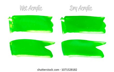 Vector green paint smear stroke stain set. Abstract acrylic textured art illustration. Acrylic Texture Paint Stain Illustration. Hand drawn brush strokes vector elements. Spring and summer colors.