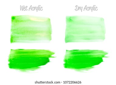 Vector green paint smear stroke stain set. Abstract acrylic textured art illustration. Acrylic Texture Paint Stain Illustration. Hand drawn brush strokes vector elements. Spring and summer colors.