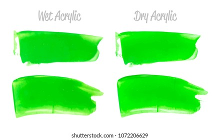 Vector green paint smear stroke stain set. Abstract acrylic textured art illustration. Acrylic Texture Paint Stain Illustration. Hand drawn brush strokes vector elements. Spring and summer colors.