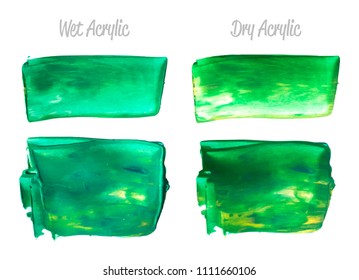 Vector green paint smear stroke stain set. Abstract acrylic textured art illustration. Acrylic Texture Paint Stain Illustration. Hand drawn brush strokes vector elements. Spring and summer colors.