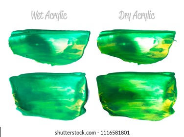 Vector green paint smear stroke stain set. Abstract acrylic textured art illustration. Acrylic Texture Paint Stain Illustration. Hand drawn brush strokes vector elements. Spring and summer colors.