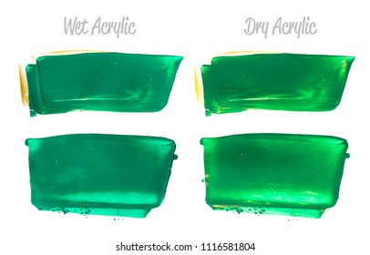 Vector green paint smear stroke stain set. Abstract acrylic textured art illustration. Acrylic Texture Paint Stain Illustration. Hand drawn brush strokes vector elements. Spring and summer colors.