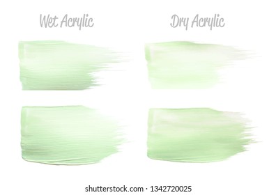 Vector green paint smear stroke stain set. Abstract acrylic textured art illustration. Acrylic Texture Paint Stain Illustration. Hand drawn brush strokes vector elements. Spring and summer colors.