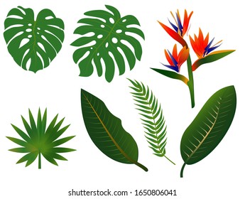 Vector green palm tree branches and african flowers - strelitzia royal. Simple flat vector illustration. Palm leafes for design.