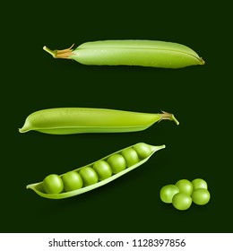 Vector green peas. Photo-realistic vector pods of green peas  on Green background. 3d green peas illustration.