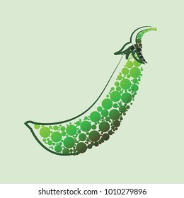  Vector green peas and pod isolated on white background