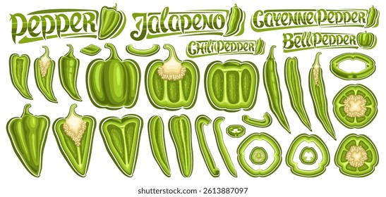 Vector Green Pepper Set, lot collection of cut out outline illustrations of different sweet and spicy peppers with seeds, group of parts and strips of variety green bell peppers on white background