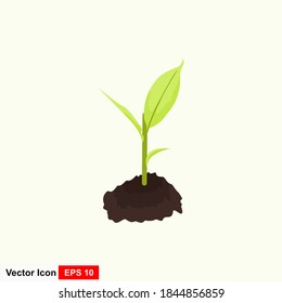 Vector de plantas verdes crece en suelo aislado en un fondo blanco. Ilustración vectorial.