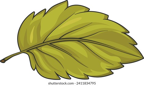 hoja de planta verde vectorial sin fondo