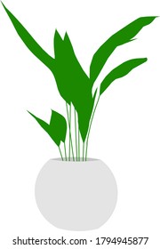 Planta verde vector en una olla
