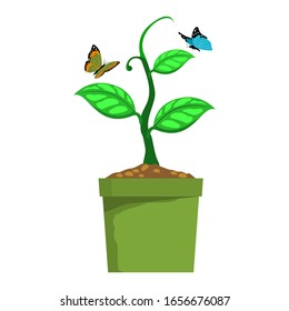 Vector of a green plant in a pot with isolated butterflies on a white background. Vector illustration.