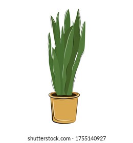 Vector green plant in pot isolated on white background. Hand drawn plant. For poster, banner, card, sticker