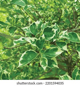 Plantas verdes vectoriales en el jardín