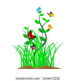 Vector of green plants and grass with isolated butterflies against a white background. Vector illustration.
