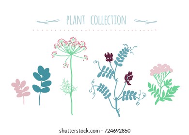 Vector green plants set, botanic collection.