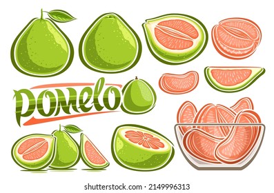 Vector Green Pomelo Set, lot collection of cut out illustrations various fruity tropical still life with leaves and section pomelo, many variety ripe fruits in transparent glass plate and word pomelo