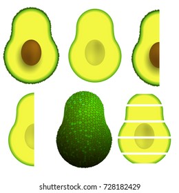 Vector Green Ripe Avocado Fruit Isolated on White Background