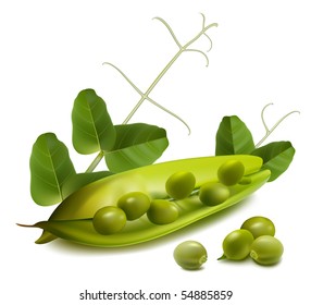 Vector green ripe peas with leaves.
