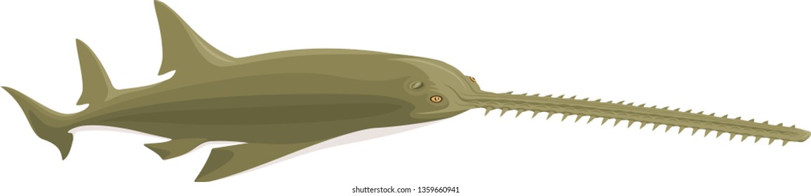 Vector Green Sawfish