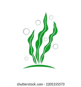 vector green seaweed logo template