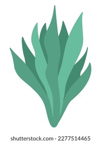 Vector green seaweeds icon. Under the sea illustration with cute kelp. Ocean plant clipart. Cartoon underwater or marine clip art for children isolated on white background
