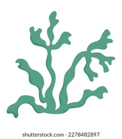 Icono de algas verdes vectoriales. Bajo el mar la ilustración con un lindo fucus. Clipart de la planta oceánica. Dibujo de dibujos animados subacuáticos o marinos para niños aislados con fondo blanco
